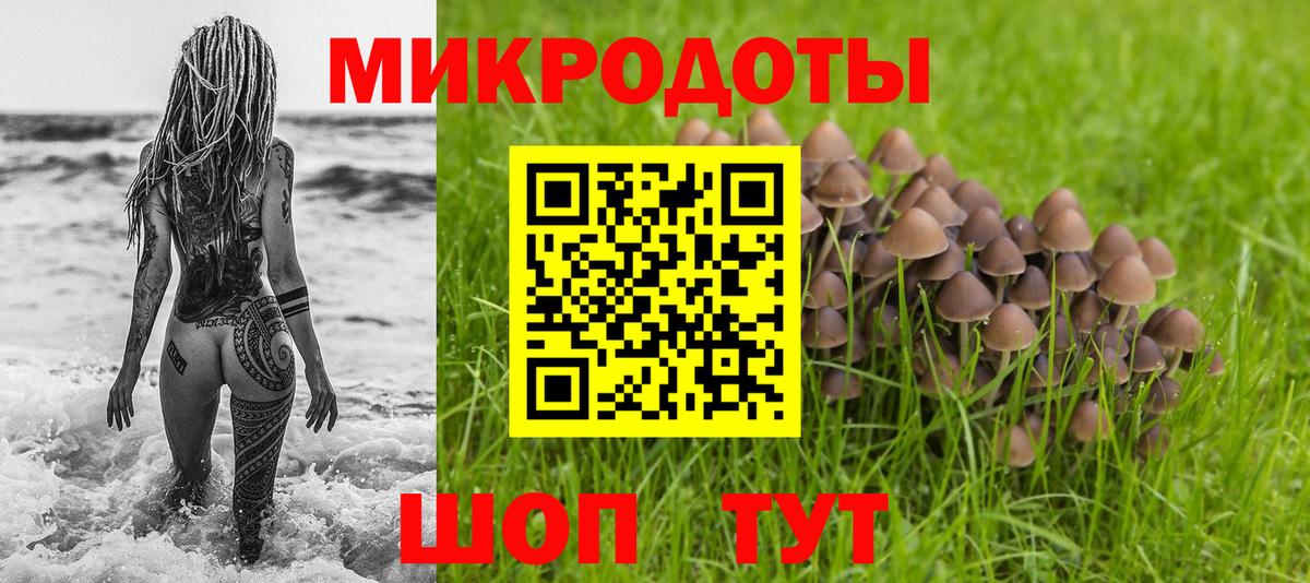 Киров  Псилоцибиновые грибы GOLDEN TEACHER  Вход с VPN 